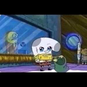 Meet your Posher, Joey